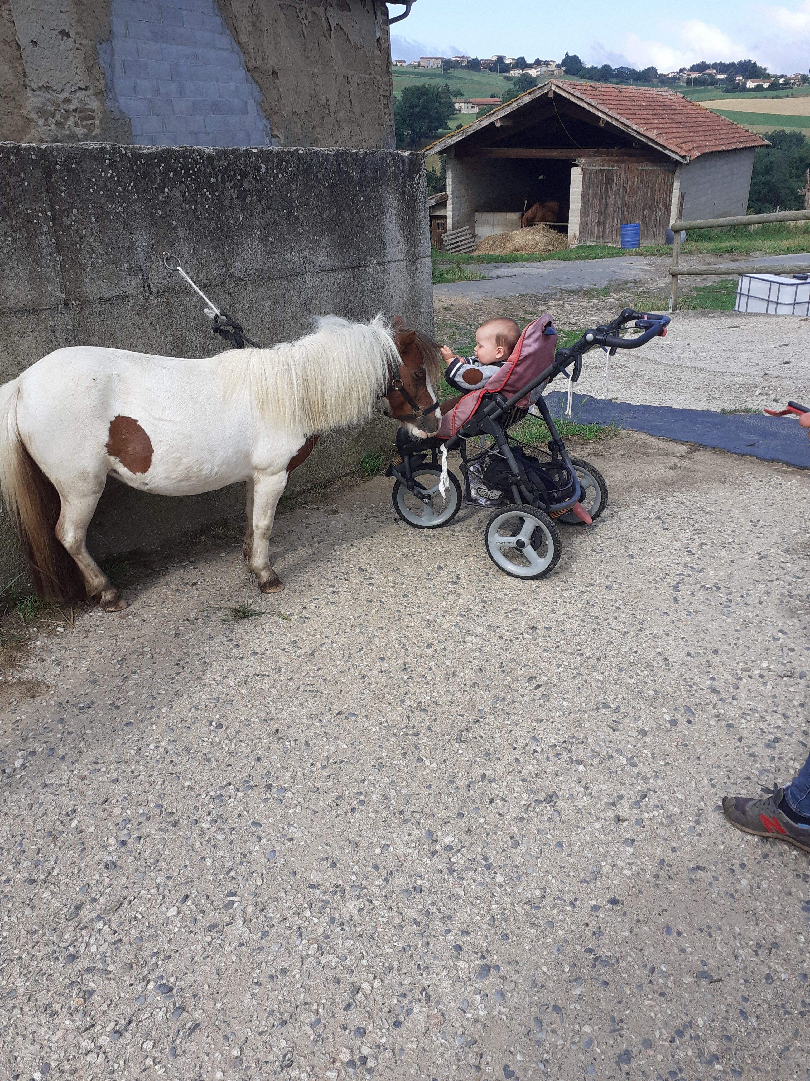 blockValue.e34ac70b-8d12-4e94-905b-9d9e67855683.url_img_1_alt