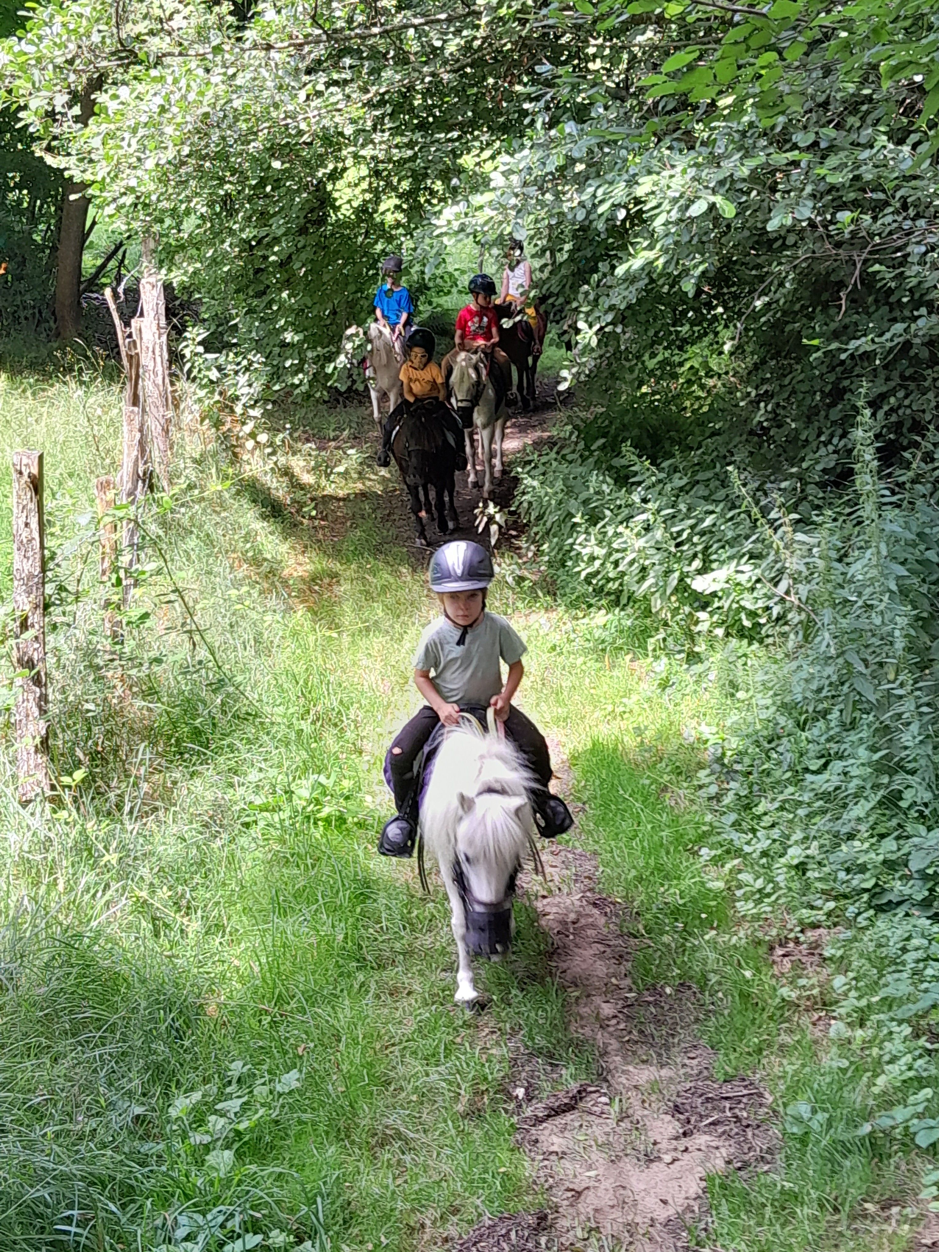 blockValue.00569108-d58c-4dae-bc0f-142cab24a00e.url_img_2_alt