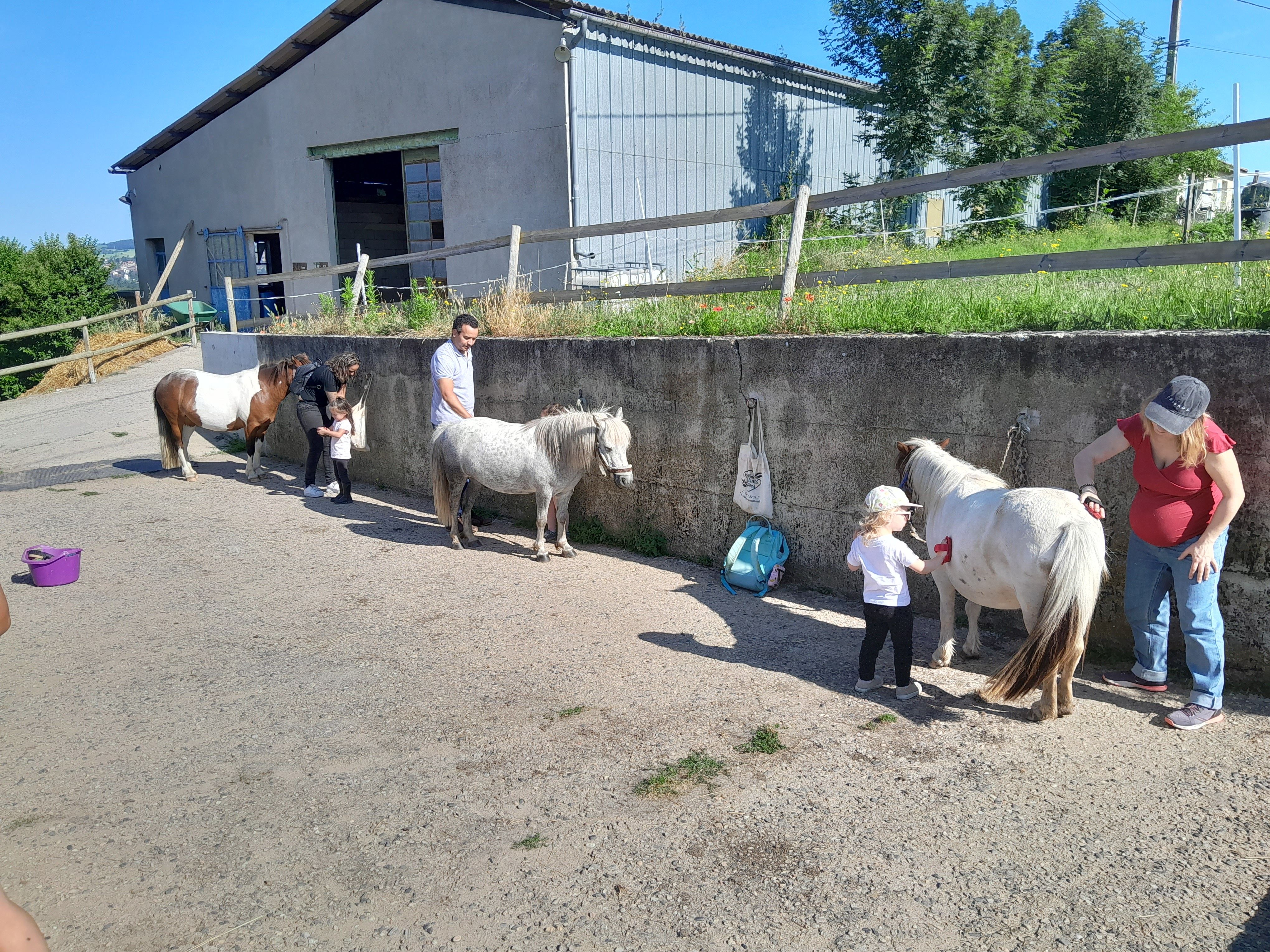 blockValue.d3e670d4-c223-44e7-ab36-68b740a6cc53.url_img_1_alt