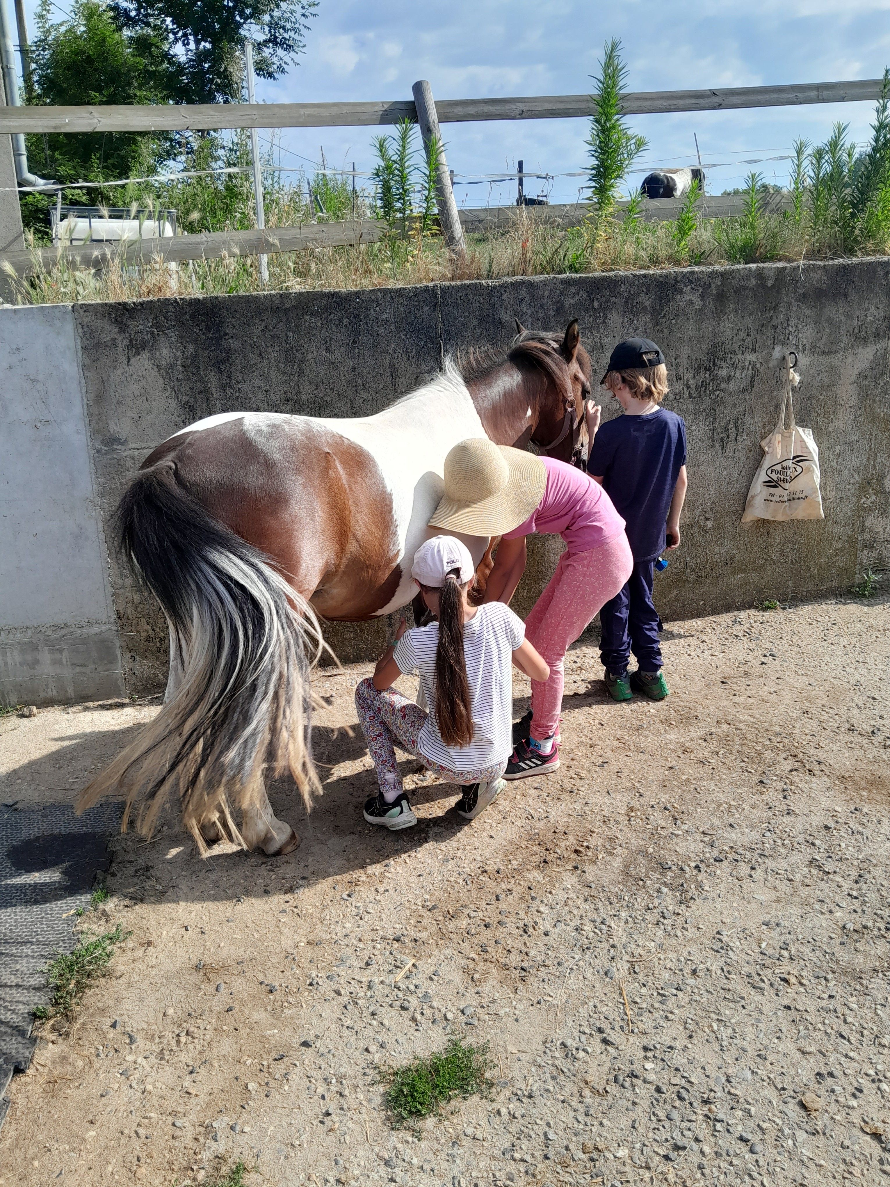 blockValue.00569108-d58c-4dae-bc0f-142cab24a00e.url_img_1_alt