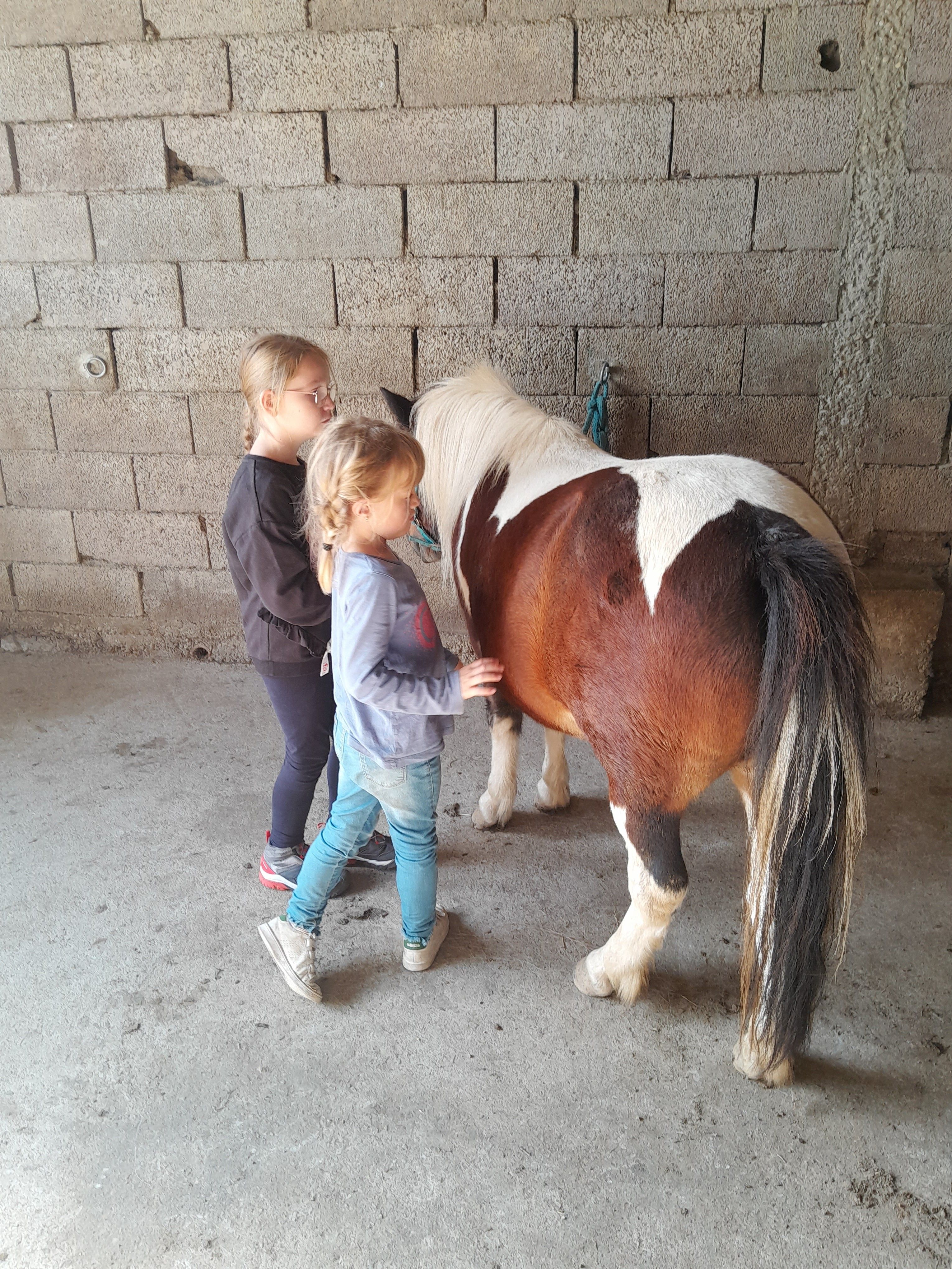 blockValue.308befe1-e6ee-417f-a9b9-b802e2a97ad9.url_img_2_alt